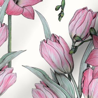 Tulips and Freesia Hand Drawing