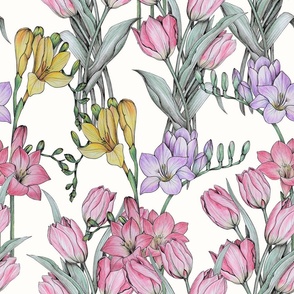Tulips and Freesia Hand Drawing