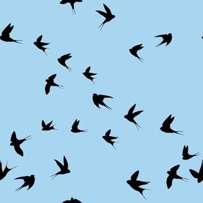 Swallows in the sky