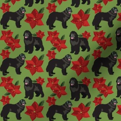 Newfoundland Dog with Poinsettia in green Dog Fabric