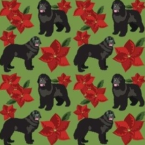 Newfoundland Dog with Poinsettia in green Dog Fabric