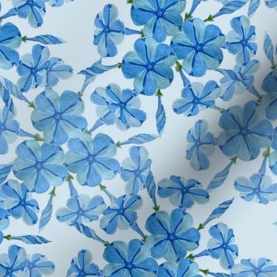 F21036'1'1 AM - Plumbago