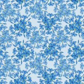 F21036'1'1 AM - Plumbago