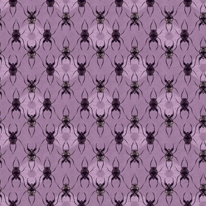 Arachnids - Purple