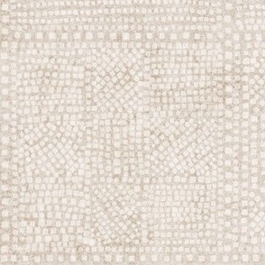 Mosaic square tiles bleached white