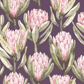 Protea Garden - Lilac