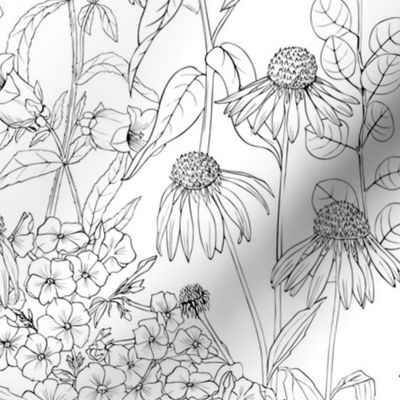 sketch flowers