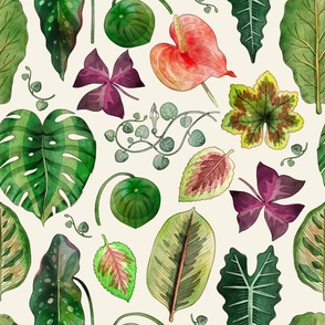 Jungelicious House Plants Pattern