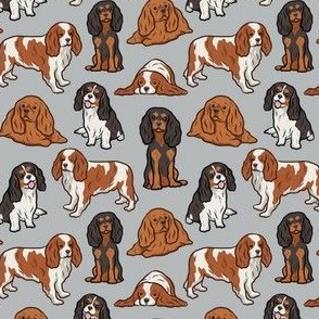 Small Cavalier Dogs - Light Gray / Grey