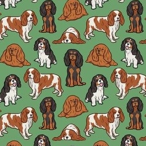 Small Cavalier Dogs - Green