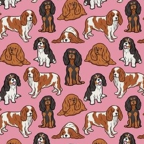Small Cavalier Dogs - Pink