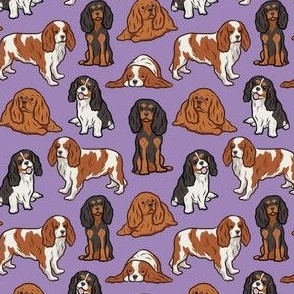 Small Cavalier Dogs - Purple