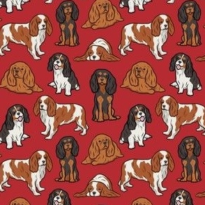 Small Cavalier Dogs - Red