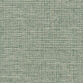 Natural Coarse Burlap Texture Benjamin Moore Cushing Green Palette Dark Subtle Modern Abstract Geometric