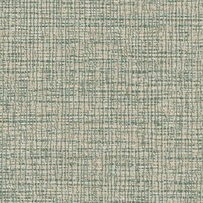 Natural Coarse Burlap Texture Benjamin Moore Cushing Green Palette Light Subtle Modern Abstract Geometric