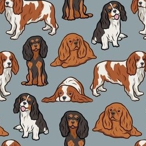 Cavalier Dogs - Dark Gray / Grey