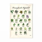 Houseplant Alphabet (LIGHT)