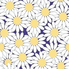 Crowded white daisies on indigo