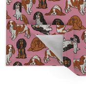 Cavalier Dogs - Pink