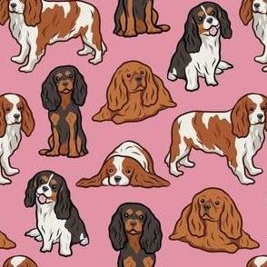 Cavalier Dogs - Pink