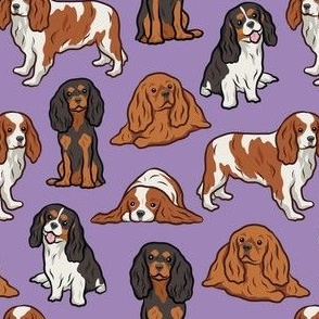 Cavalier Dogs - Purple