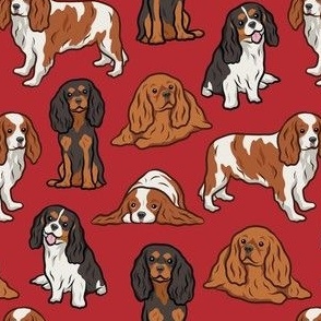 Cavalier Dogs - Red