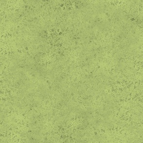 honeydew grunge texture - petal solids coordinate