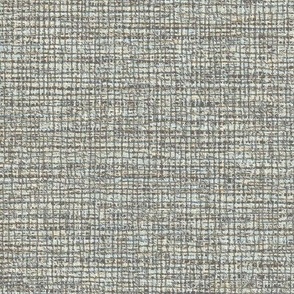 Natural Coarse Burlap Texture Benjamin Moore Kendall Charcoal Palette Light Subtle Modern Abstract Geometric