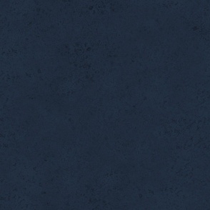 navy  grunge texture - petal solids coordinate