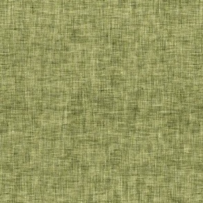 Underwood solid texture (moss green) MED