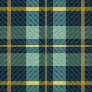 Plaid Coordinate for Frogs & Dandelions - Summer Night Colorway