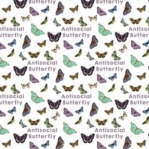 AntiSocial Butterfly White