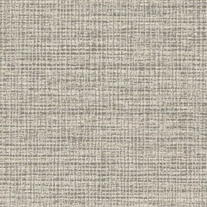 Natural Coarse Burlap Texture Benjamin Moore Revere Pewter Palette Dark Subtle Modern Abstract Geometric