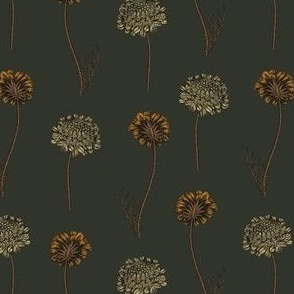 Scabiosa in Forest Green