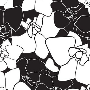 Orchid floral - Black and White