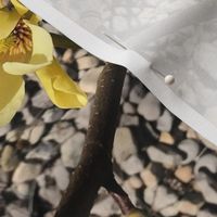 Magnolia, Sticks, & Stones