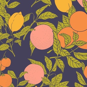 Citrus Illustrations on Deep Blue (large)