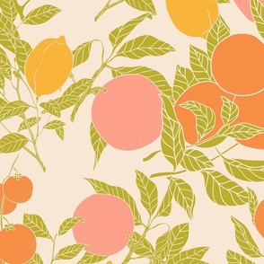 Citrus Illustrations on Beige (large)