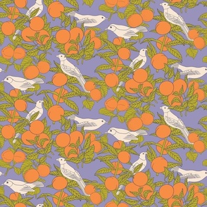 Oranges and Birds Botanical Illustration on Lavender (small)