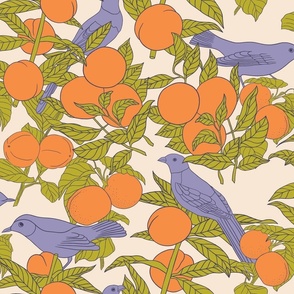 Oranges and Birds Botanical Illustration on Lavender