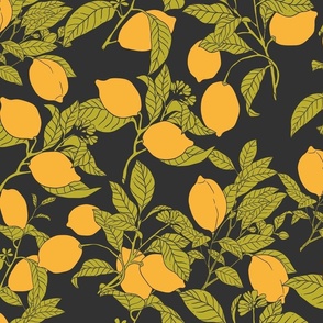 Lemon Illustrations on Charcoal