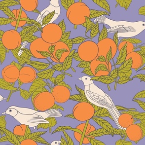 Oranges and Birds Botanical Illustration on Lavender