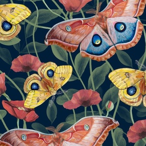 Midnight Garden- Moths and Poppies