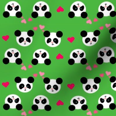 Panda Love Green Small