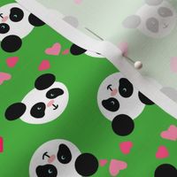 Panda Love Green Small