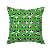 Panda Love Green Small