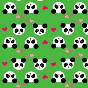 Panda Love Green Small