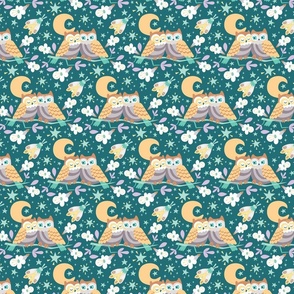 Cozy Owls Small (Teal)