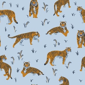 Tigers on a blue