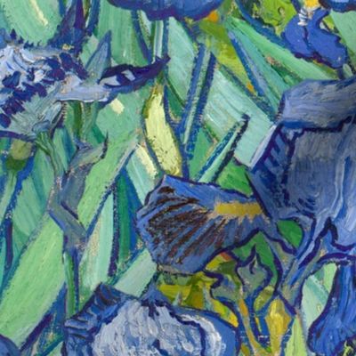 Vincent Van Gogh Irises Medium